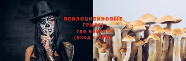 спиды Переславль-Залесский