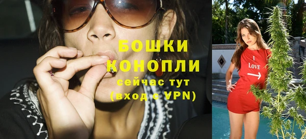прущий лед Пересвет
