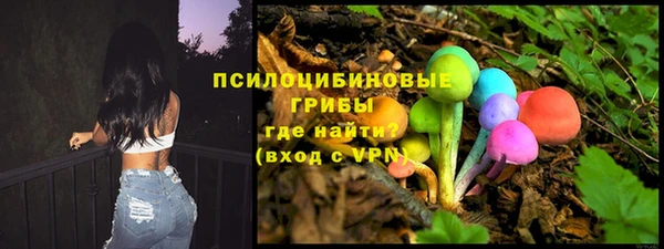 соль ск Пестово