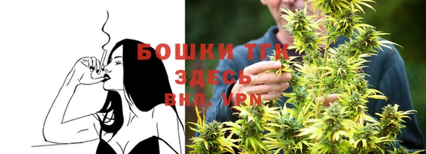 прущий лед Пересвет