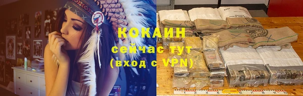 соль ск Пестово