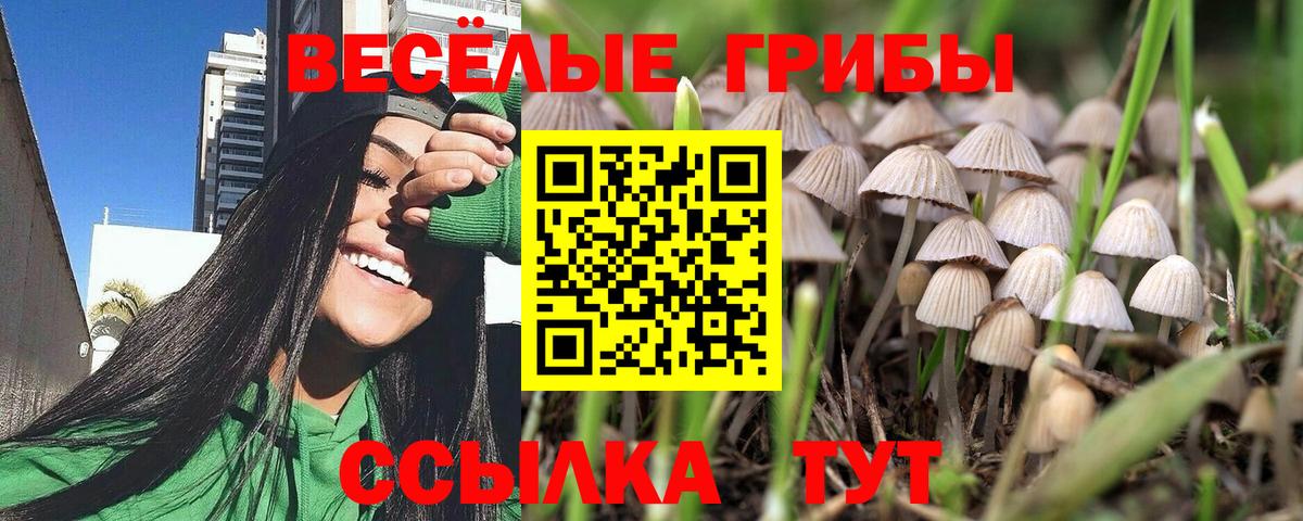 Псилоцибиновые грибы ЛСД Кувандык