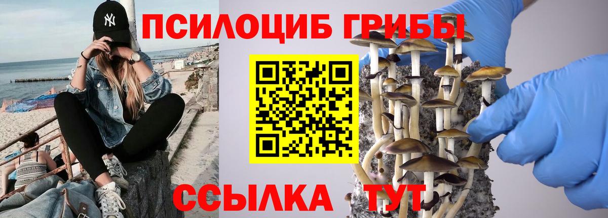 Кувандык  Псилоцибиновые грибы Psilocybine cubensis  Вход с VPN 